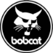 bobcat