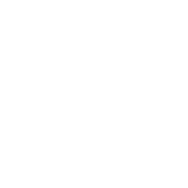 logo footer